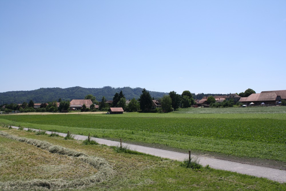 Rundweg Moossee Rundweg Moossee